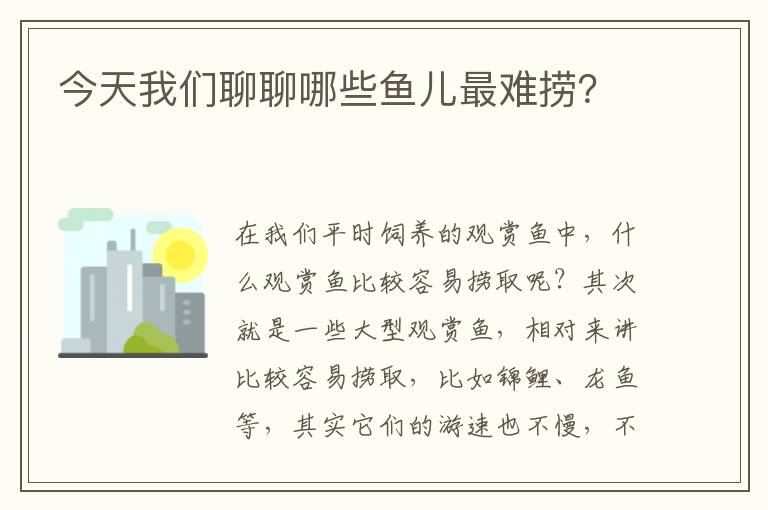 今天我們聊聊哪些魚兒最難撈？