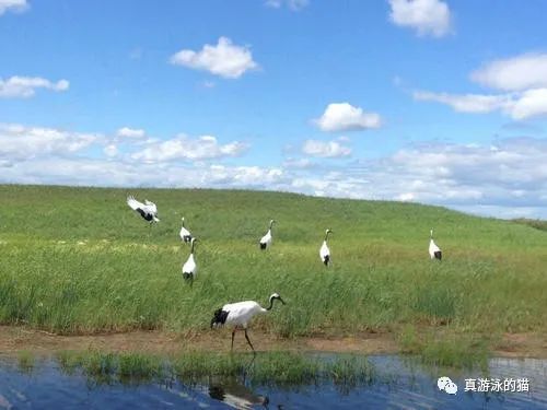 挽联是什么意思_挽联的定义_挽联意思