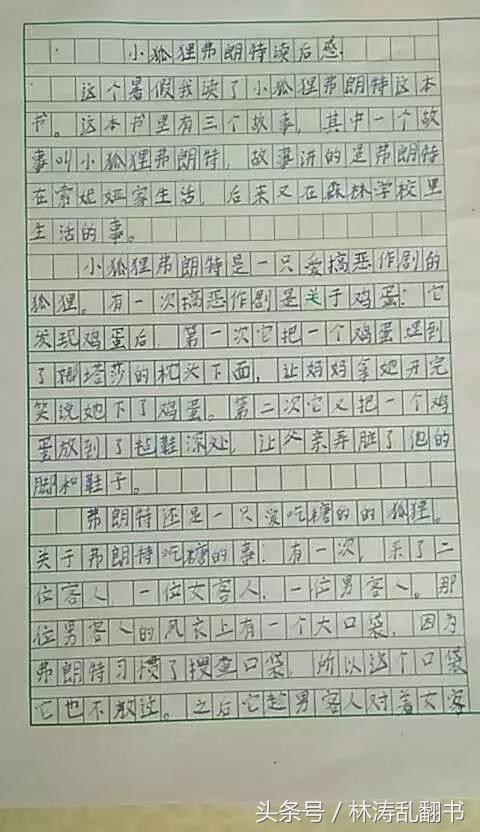 课外书读后感_课外读后感作文_读后感课外书读后感