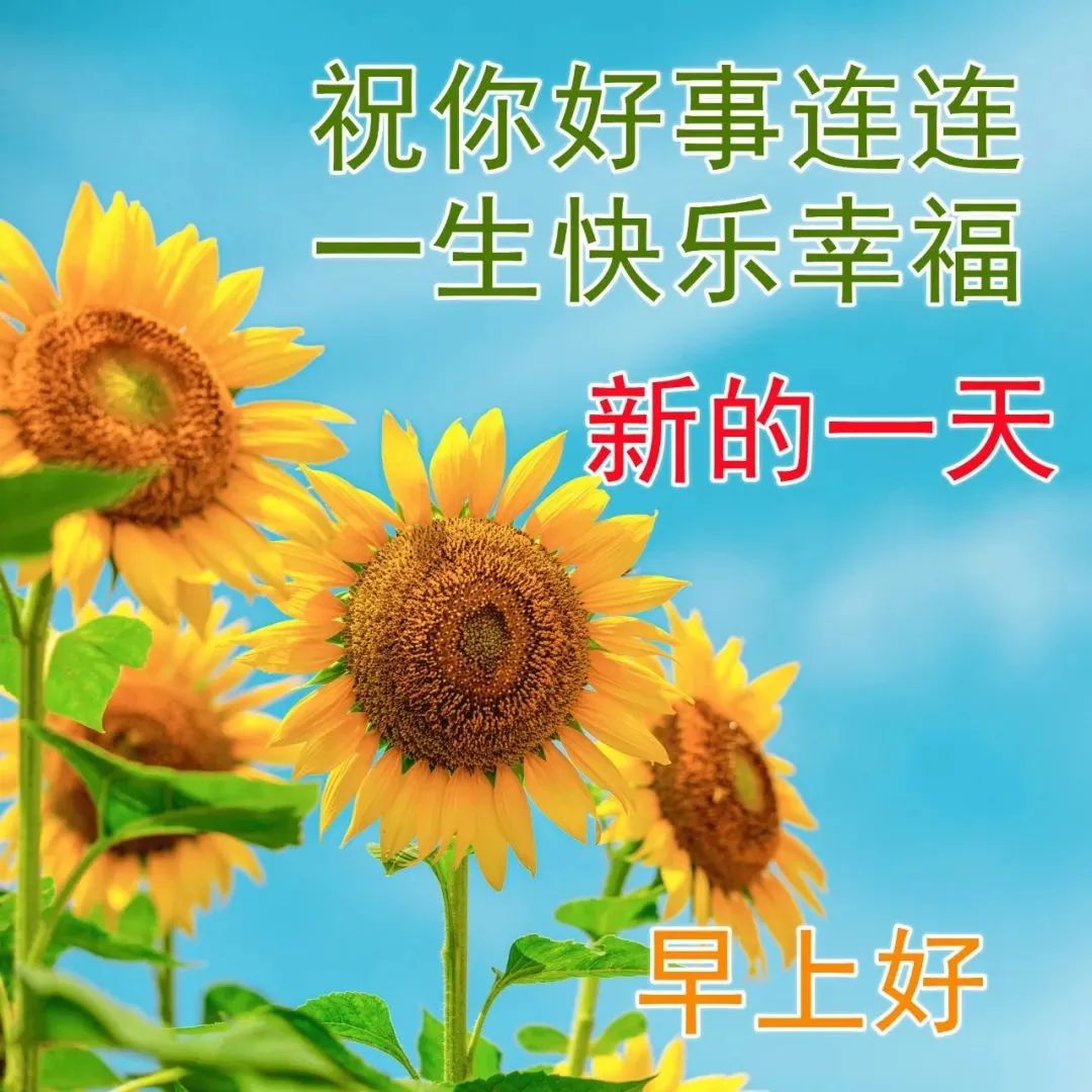 老年朋友早晨問侯語_老年朋友早上好微信問候語_對老年朋友早上問候語