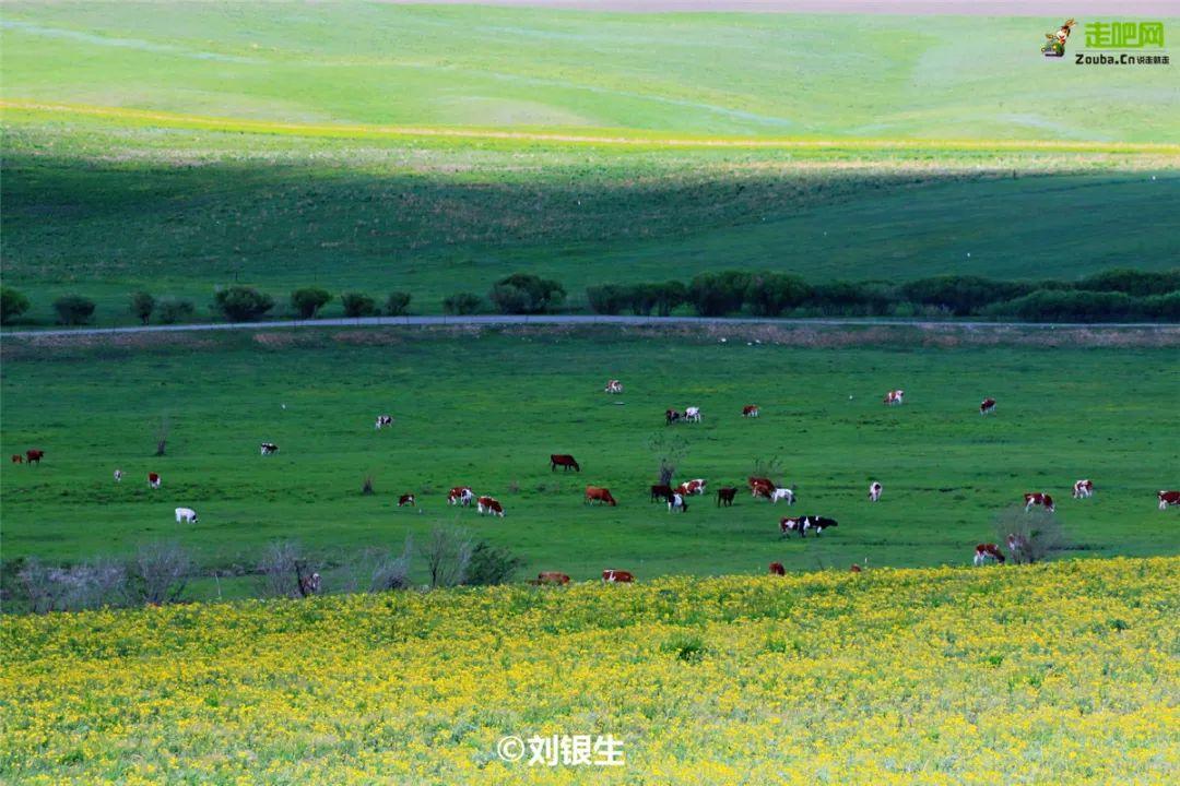 張家口壩上草原自駕游攻略_張家口距壩上草原有多遠_去張家口壩上草原自駕游攻略