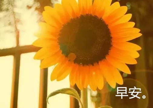 早上問候老婆的句子_早上對(duì)老婆的問候語_早晨問候老婆語