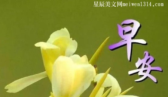 怎樣下載早上好問候語_免費(fèi)下載早上問候語_最新版早上好問候語句安裝下載