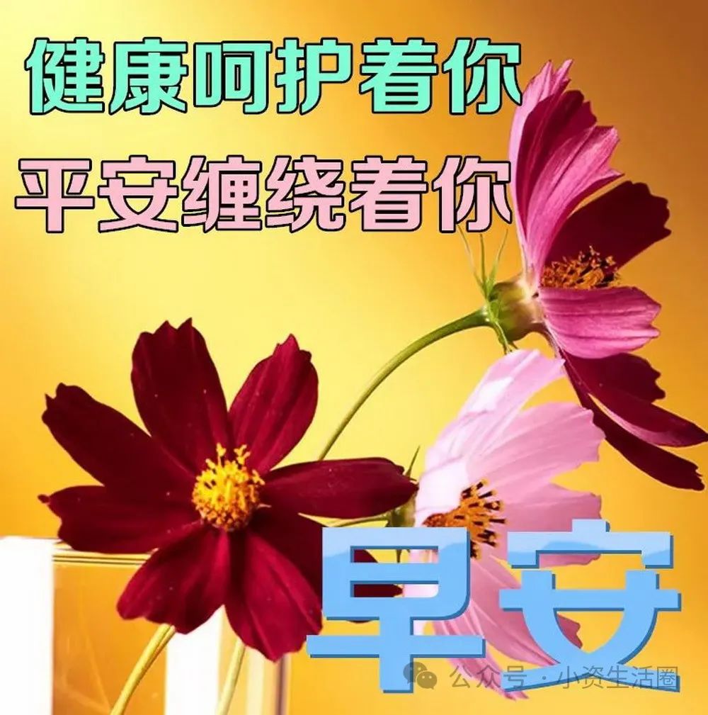 中老年早安温馨问候语，时光不老，友谊不散