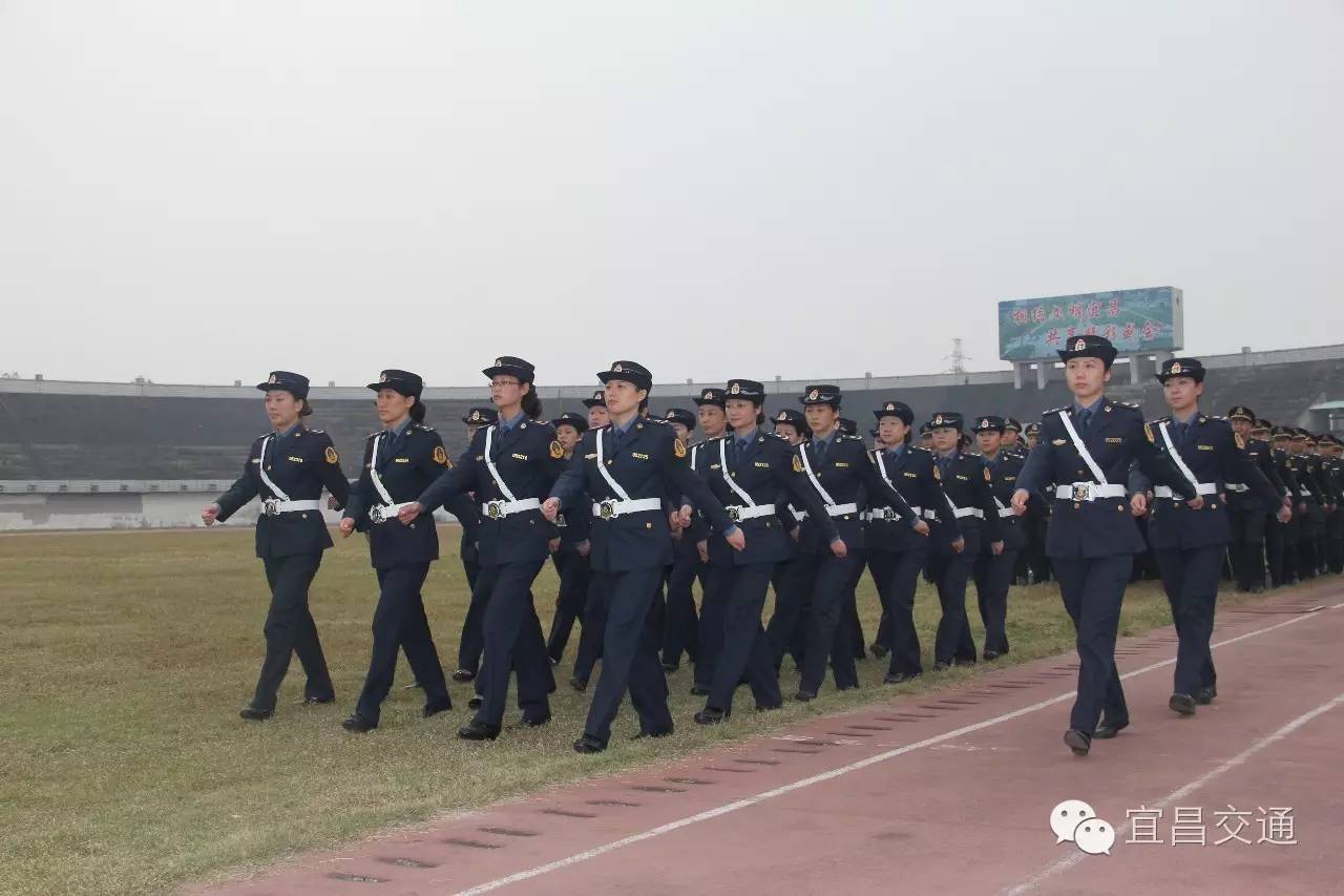 市交通運輸系統文明窗口“誠信為民服務”公