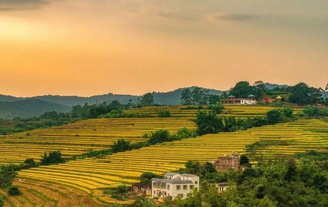 廣東坪山梯田旅游區，自然環境非常優美，建