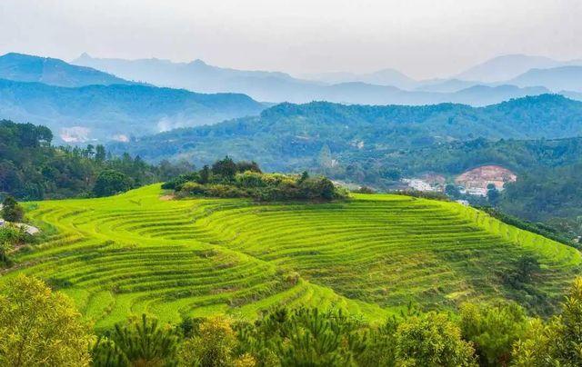 坪山梯田旅游區_坪山梯田旅游攻略_梅州坪山梯田參觀攻略