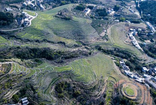 梅州坪山梯田参观攻略_坪山梯田旅游区_坪山梯田旅游攻略