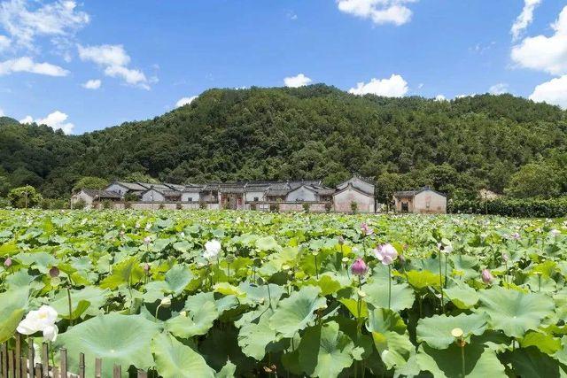 坪山梯田旅游攻略_梅州坪山梯田参观攻略_坪山梯田旅游区