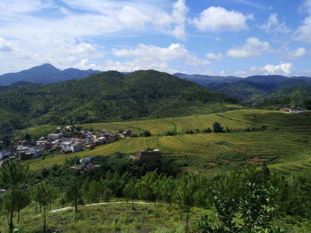 梅州坪山梯田參觀攻略_坪山梯田旅游區_坪山梯田旅游攻略