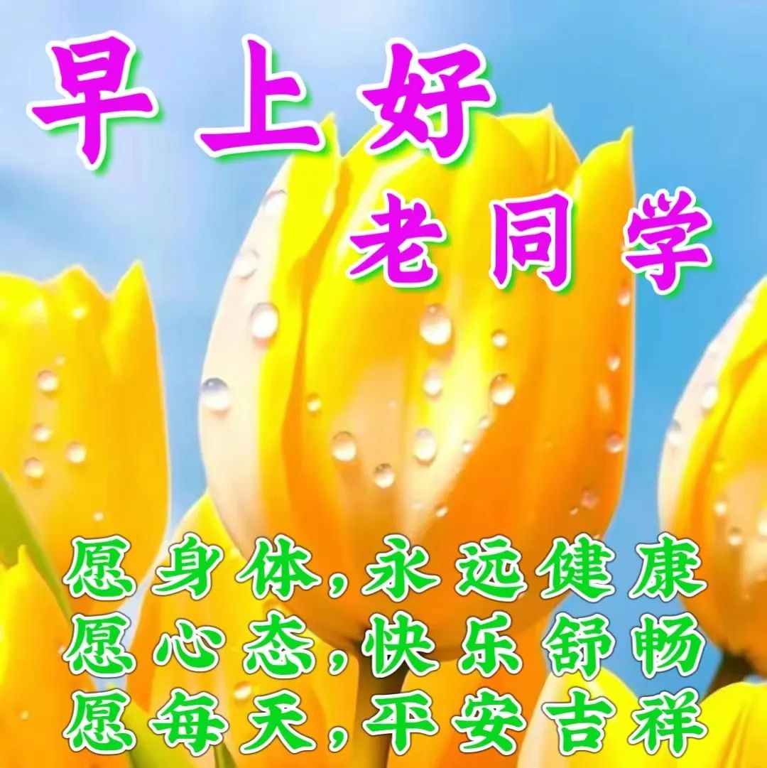 新年语祝福小学同学生日快乐_小学生对同学的新年祝福语_小学生对同学新年祝福