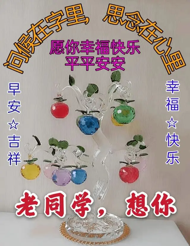 新年语祝福小学同学生日快乐_小学生对同学新年祝福_小学生对同学的新年祝福语