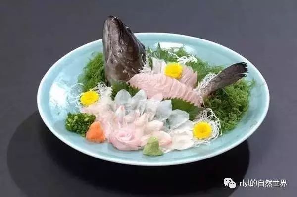 全身白色的觀賞魚_觀賞全身白色魚圖片_觀賞全身白色魚有哪些