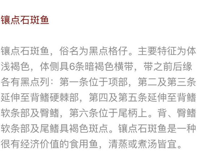 全身白色的觀賞魚_觀賞全身白色魚圖片_觀賞全身白色魚有哪些