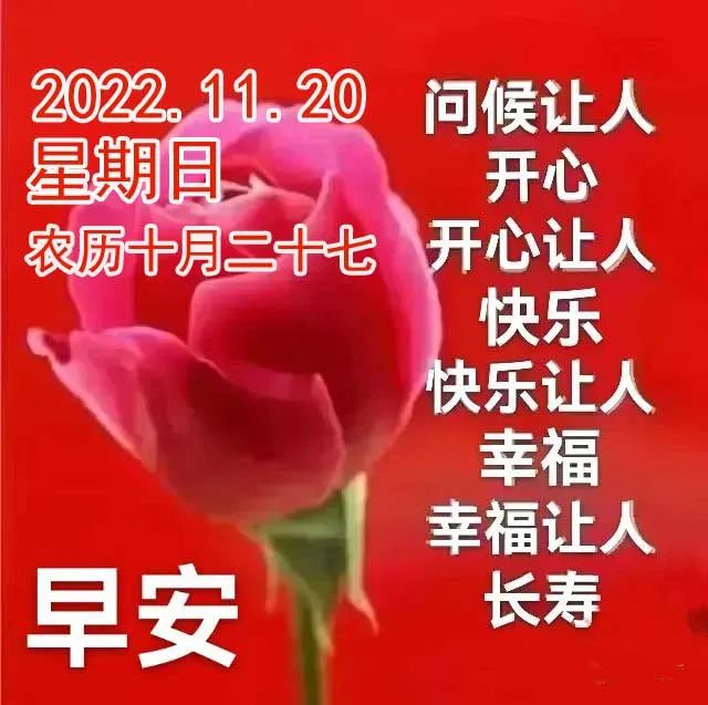 11月20日周末早上好 周日早安最新早上好圖片帶字 溫馨的周末愉快祝福語短句